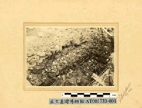 藏品(貝塚斷面)的圖片